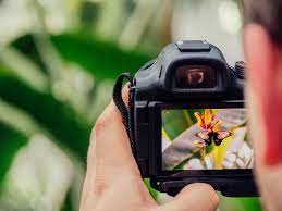 The Frame Game: Strategies for Success in Professional Photography
