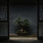 featured iamge