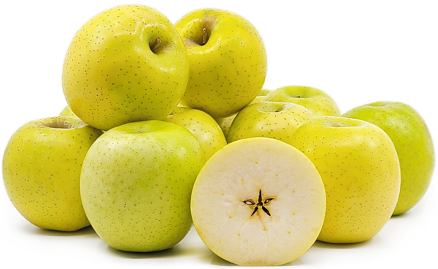 Exploring Japan’s Most Famous Apple Varieties: A Journey Through Flavor