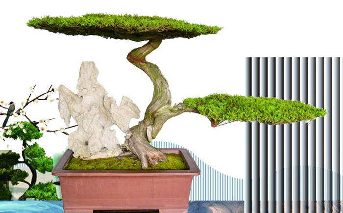 Miniature Majesty: The Role of Bonsai in the Ming Dynasty